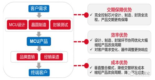 一文讀懂車載mcu
