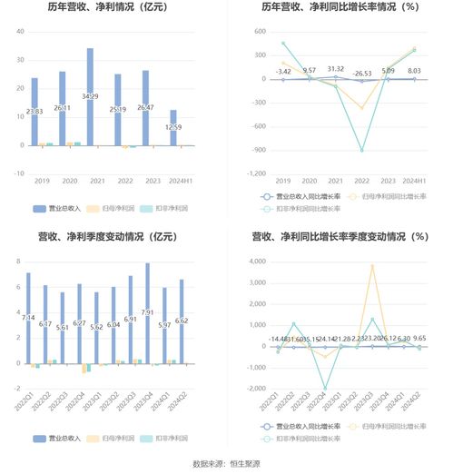 紅寶麗 2024年上半年凈利潤同比增長395.86 擬10派0.3元