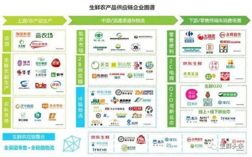 農業供應鏈孕育十萬億市場,巨頭爭相布局 阿里 京東 拼多多 順豐 百果園